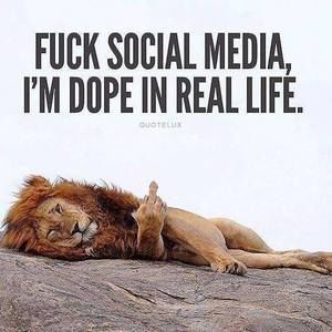 Meet your Posher, Bernard